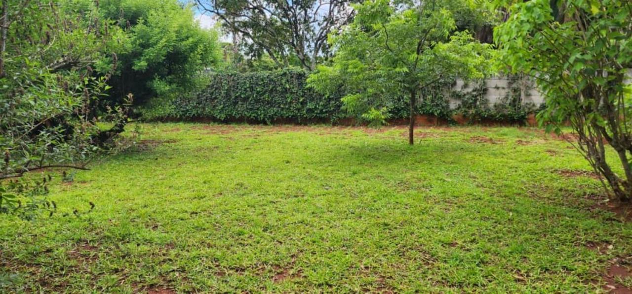 הארארה Lovely 3 Bed In Mount Pleasant - 2153 מראה חיצוני תמונה
